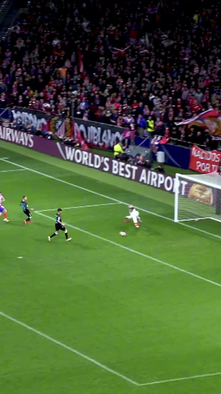 太喜欢这个球员了阿尔瓦雷斯赛季精彩混剪火力全开