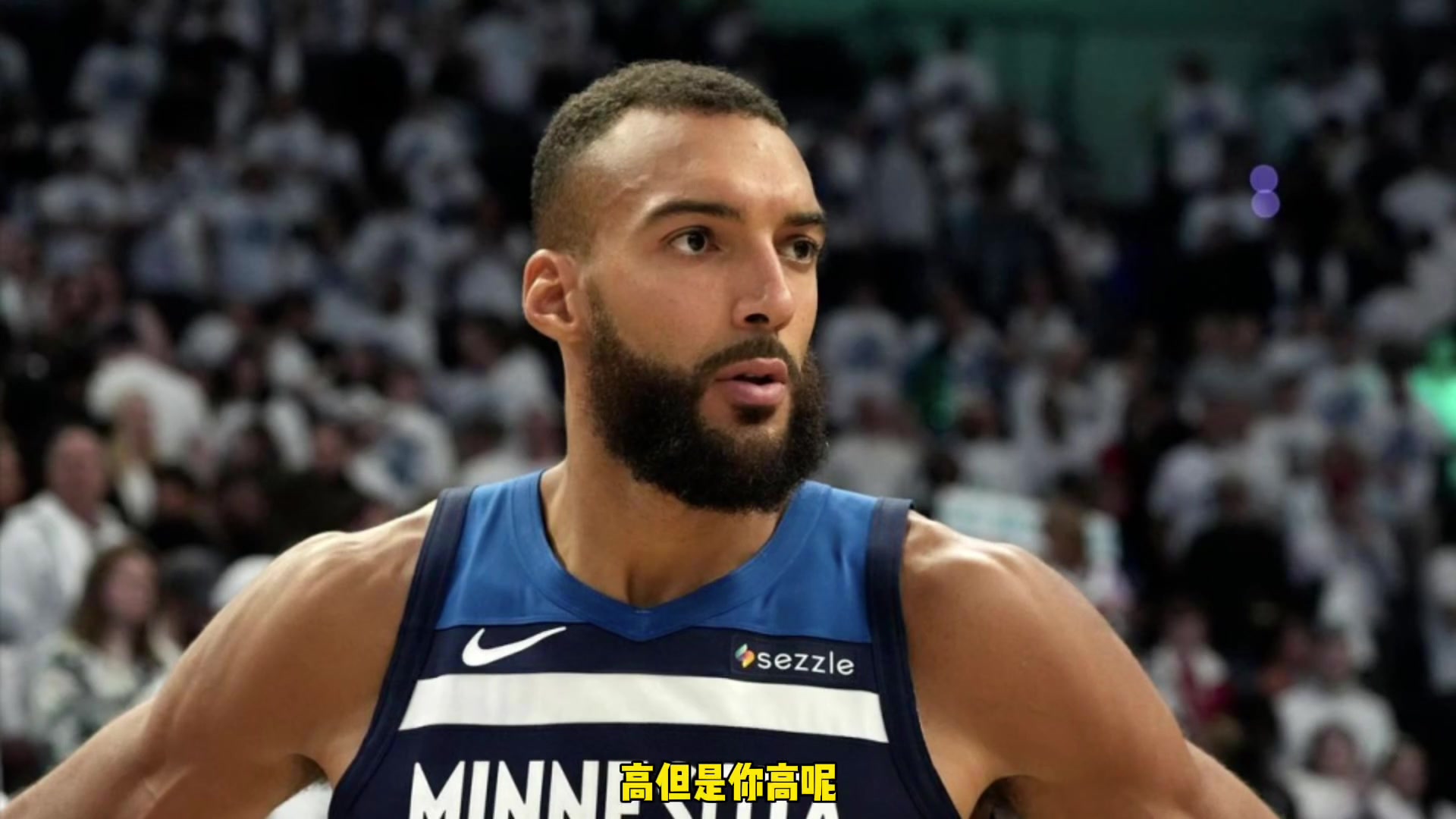 杨毅姚明最喜欢打的就是戈贝尔那样的 你高不过我体重还没我重