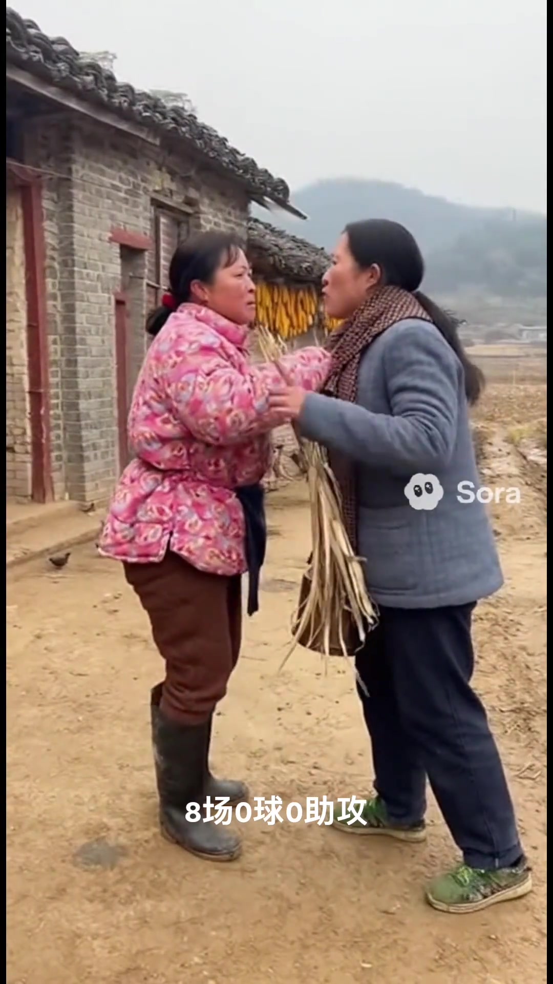 Sora这能搞事情俩妇人争执现场不许你说我的维尔茨