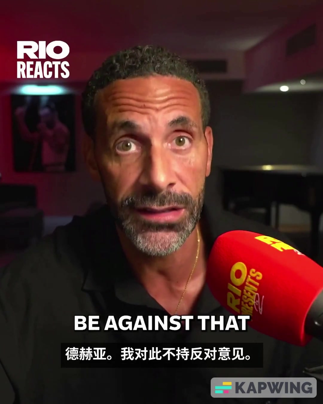 费迪南德卖掉德赫亚的人应该裁掉永远不要在足球届工作了